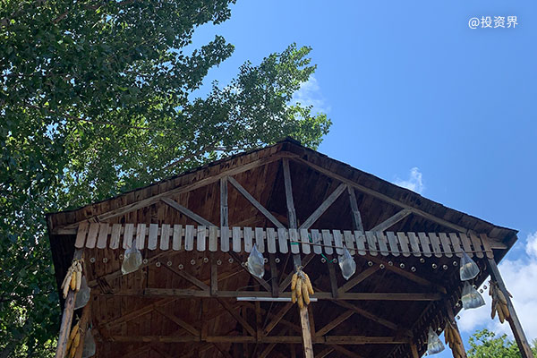 把吃饭变「炒股」，年轻人集体上头